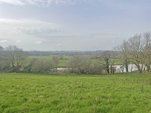 Photo 43- click for photo gallery